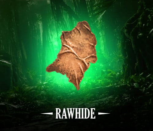 Diablo 4 | Rawhide